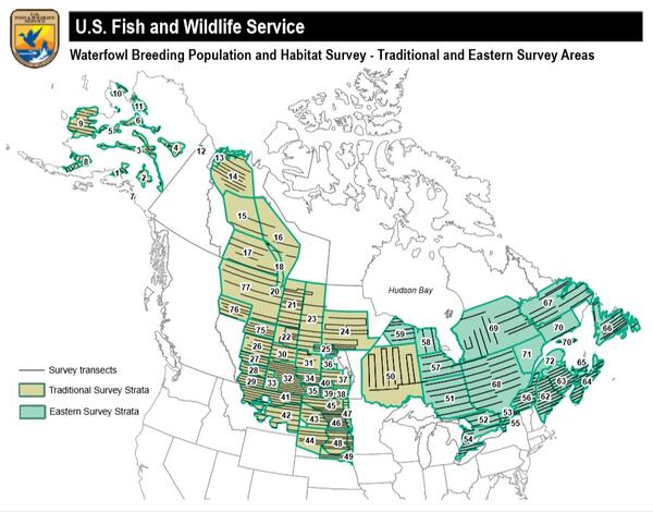Waterfowl Breeding Population and Habitat Survey - Traditional and Eastern Survey Areas