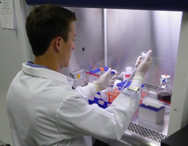 A microbiologist prepares a reaction in a Biological Safety Cabinet
