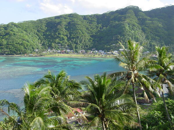 Bay in Tutuila, American Samoa with palm trees