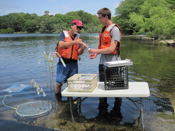 USGS scientists collecting water-quality samples from shallow groundwater under Ashumet Pond