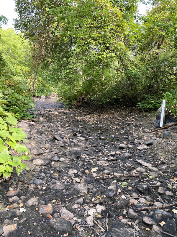 Segreganset River near Dighton, Massachusetts