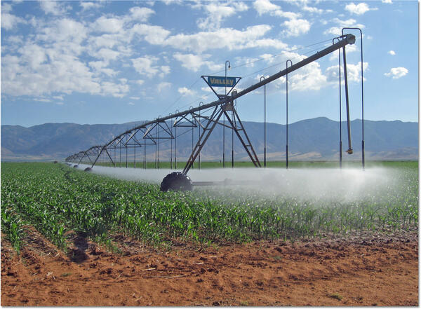 Center pivot irrigation system in Arizona, USA