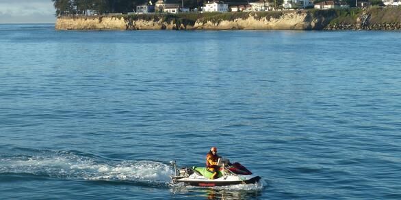 Image: Coastal Surveys of Santa Cruz, California