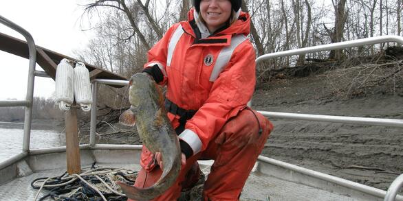 Image: Flathead Catfish
