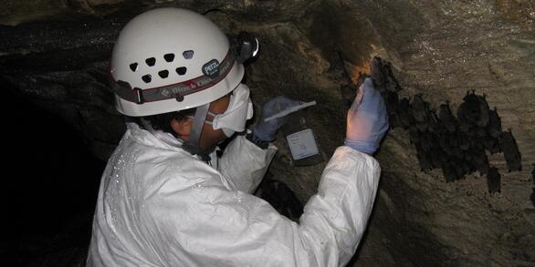 Image: USGS Scientist Collects Samples for Testing