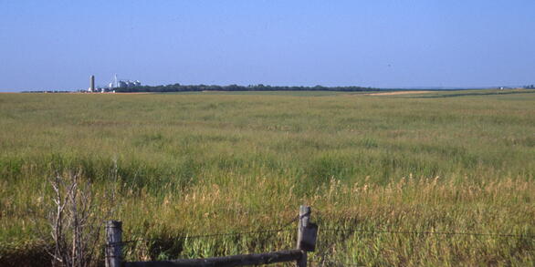 A flat landscape with grasses, a part of a fence in the foreground and a farmstead far in the background