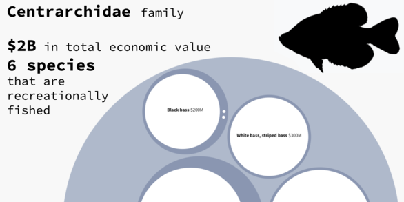Nested bubble chart showing global economic value for the Centrarchidae family of fish.