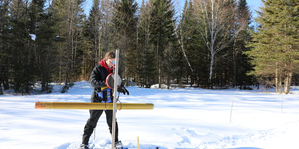 A woman in snowshoes weighing a long yellow pole in a snowy field.