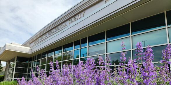 Purple flowers in front of the Maryland-Delaware-Washington, D.C. Water Science Center Baltimore building.