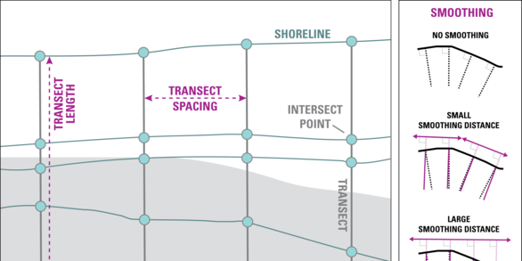 diagram showing transect lines on a shoreline