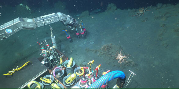 An underwater view from the submersible Alvin showing the manipulator arm picking up sediment cores from the seafloor. Mud and some deep-sea animals including sea stars are visible. 