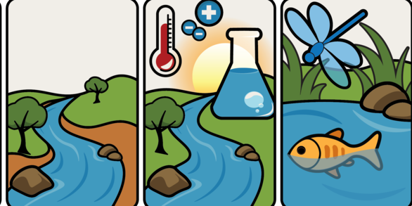 Illustration of the phases of urban stream restoration
