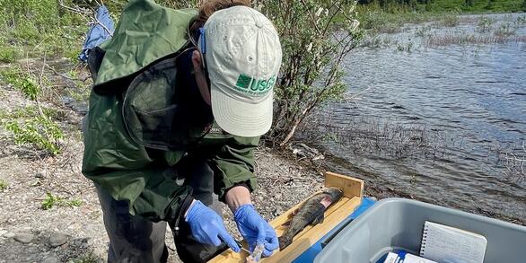 Female with blue latex gloves in green waterproof jacket and pants and beige ball cap with green USGS logo next to water.
