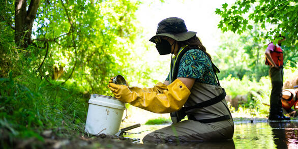 Sitting in a stream, a person collects a sediment sample from a stream using a sieve and a bucket.