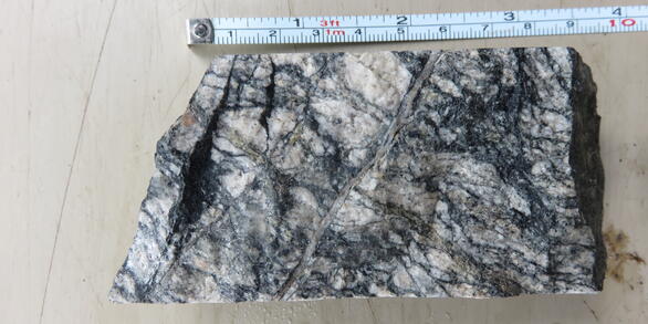 Uranium mineralized drill core, Coles Hill deposit, Virginia