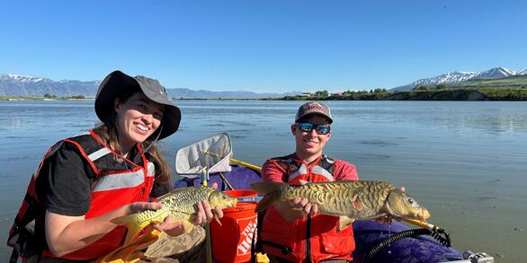 Two graduate students are holding common carp