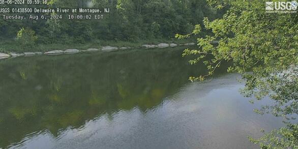 Looking out on the tree banked river from a high vantage point.