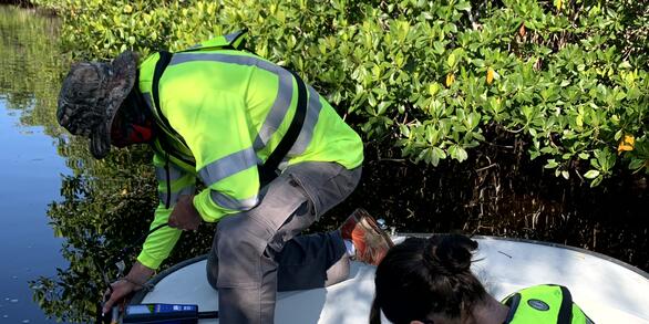 Two scientists sampling water in the Shark River Slough in Everglades National Park, Florida