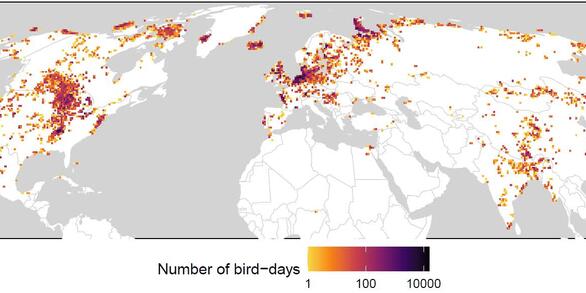 Color coded display of waterfowl telemetry data