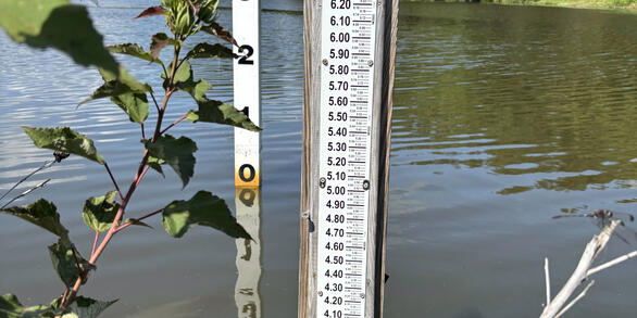 A staff gage for measuring peak water level in an urban lake in Virginia