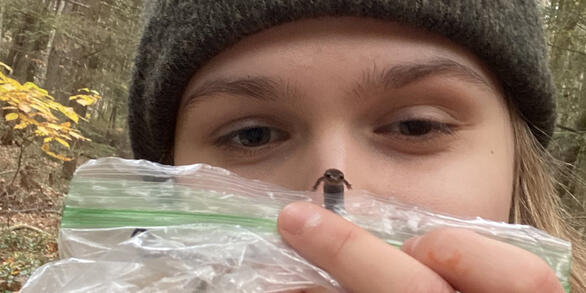 Amphibian research technician with begrudgingly cooperative salamander
