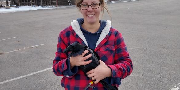 Lauren E. Walker holding a banded raven