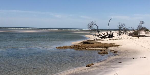 Wilderness Inlet, Fire Island, NY