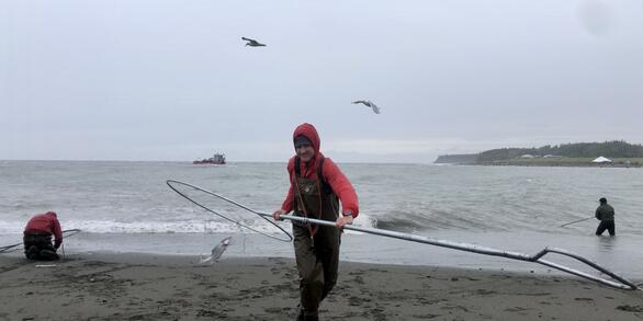 photo of man with large dipnet containing a fish. Birds, other dipnetters, beach, ocean in background.