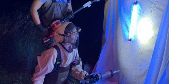 Scientists collecting aquatic insects using a suction apparatus and a lighting attraction system 