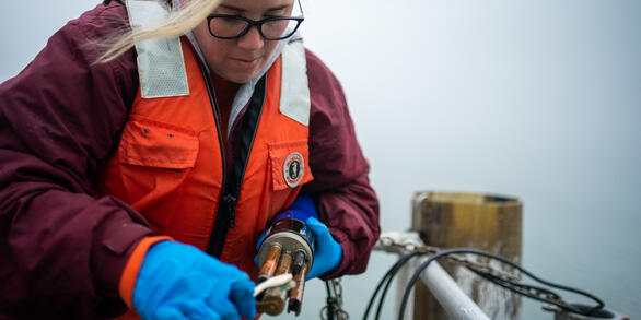  Samantha Woomer holds a sonde and cleans it with a toothbrush.