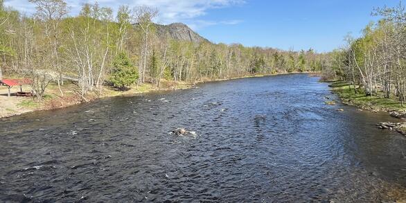 A view of a river with mountains on the left-hand side.