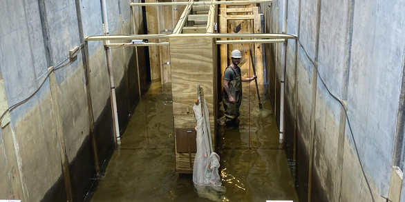 Scientist standing in water inside a flume at the Conte Lab's fish passage complex