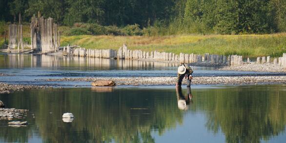 USGS Selenium Research Laboratory scientist collecting samples on the Kootenai River.