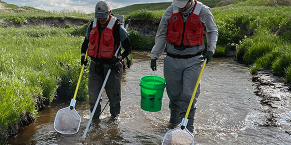 Graduate students electrofishing on Deer Creek in Nebraska