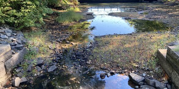 2020 drought impact on Cochituate Brook at Framingham, Massachusetts