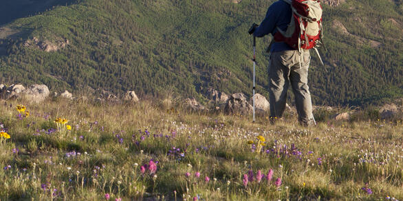 Hiker on the Continental Divide Scenic Trail in Colorado, USA. 