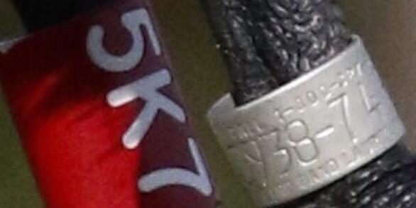 Aluminum band and one plastic colored leg bands in a Brown Pelican 