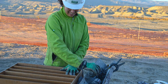 CRC geologist packing core samples.