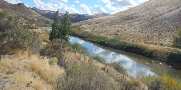 Humboldt River, Nevada