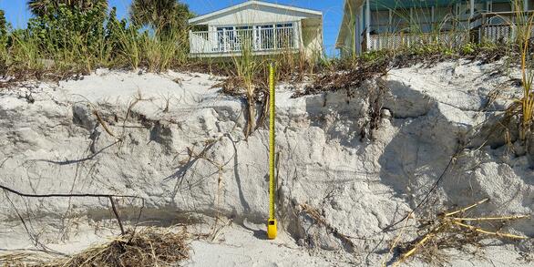 a dune that has been eroded several feet