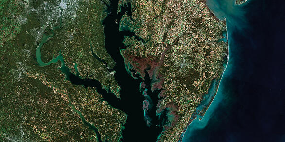 Chesapeake Bay: A Landsat 8 Surface Reflectance Mosaic