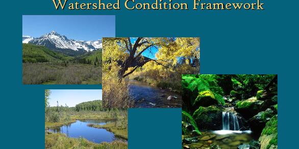 NHD Seminar Session 5 Presentation USFS Screenshot
