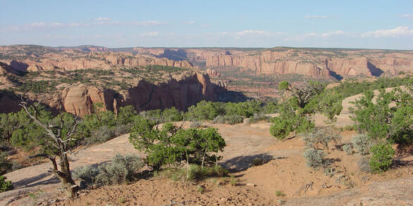 This is a photo of Navajo National Monument.