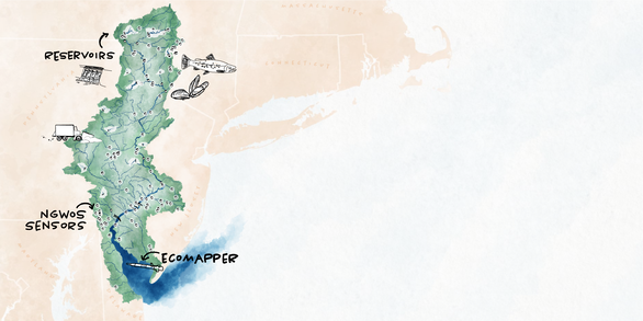 Hand-illustrated map of the Delaware River Basin showing stream network, reservoirs, and USGS sensors.