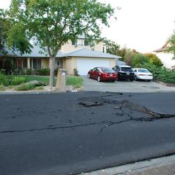 Image: 2014 South Napa CA M6 Earthquake - August 24