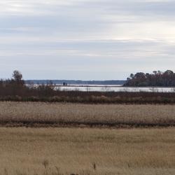 Image: Marsh Management at Blackwater National Wildlife Refuge