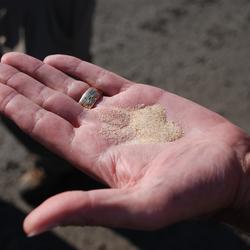 Image: Hydraulic Fracturing Sand
