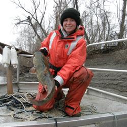 Image: Flathead Catfish