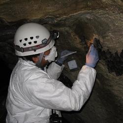 Image: USGS Scientist Collects Samples for Testing