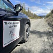 a black car with "wildfire mitigation specialist" on the side drives along a dirt road, through a forest